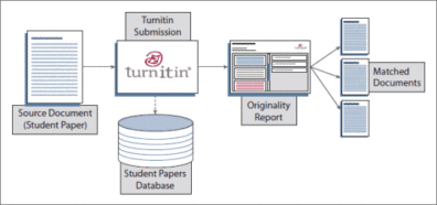 Turnitin检测查重原理