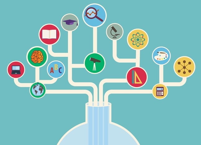 美国大学 新生选课