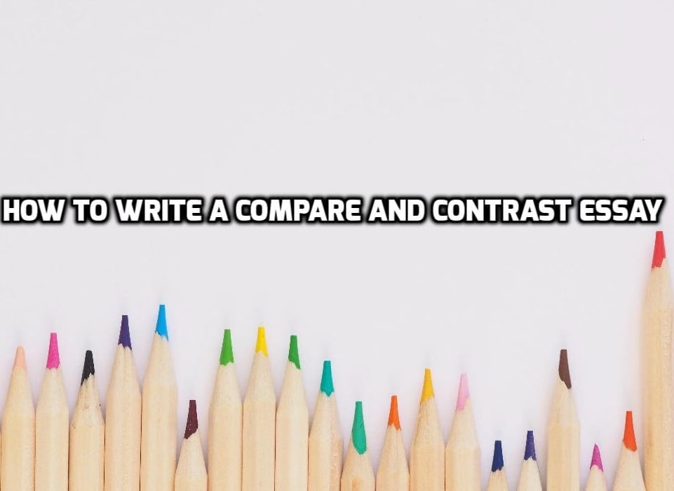 美国高中代写 compare and contrast essay