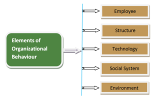 Organizational Behaviour论文代写