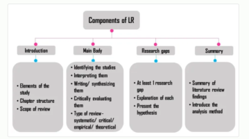 dissertation代写 literature review