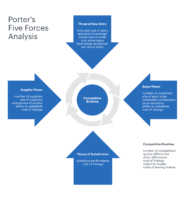 商科business代写_Porter Five Forces Analysis